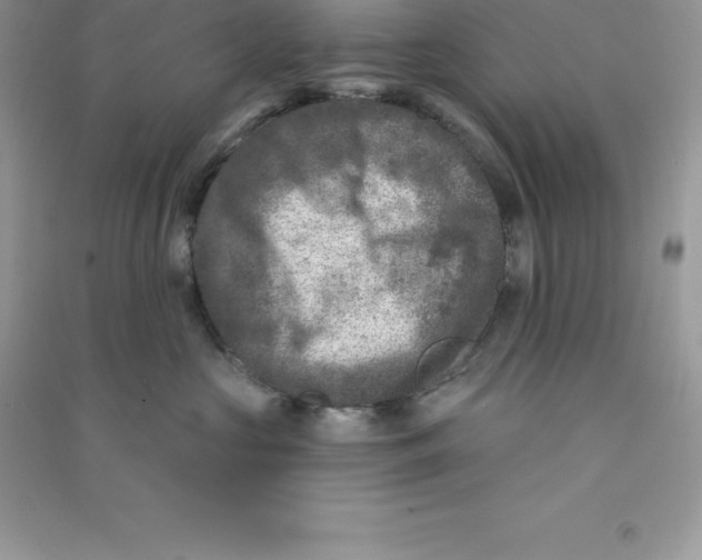 X0000090730573200708171950