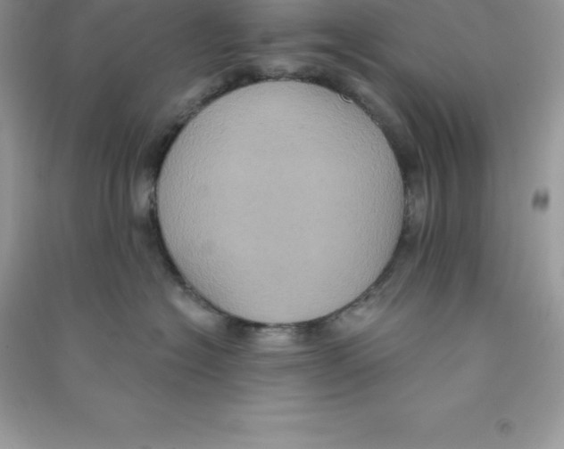 X0000090730574200708171950