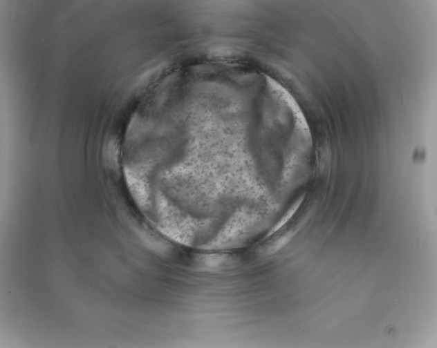 X0000090730575200708171950