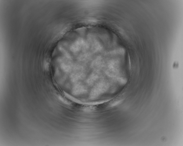 X0000090730576200708171950