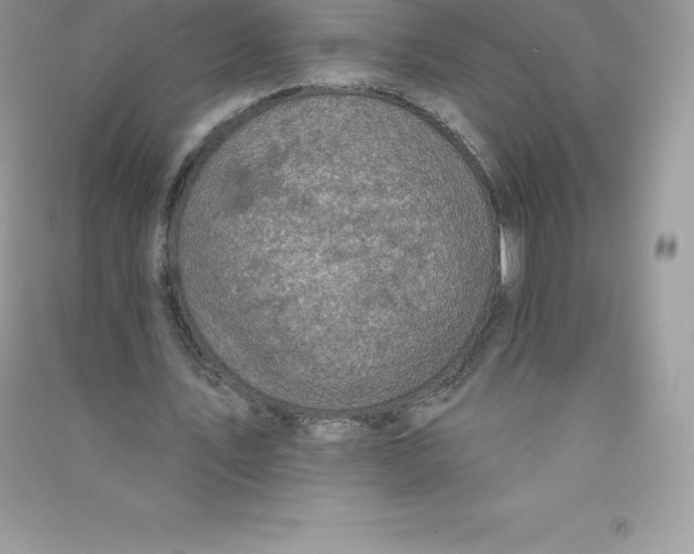 X0000090730579200708171949