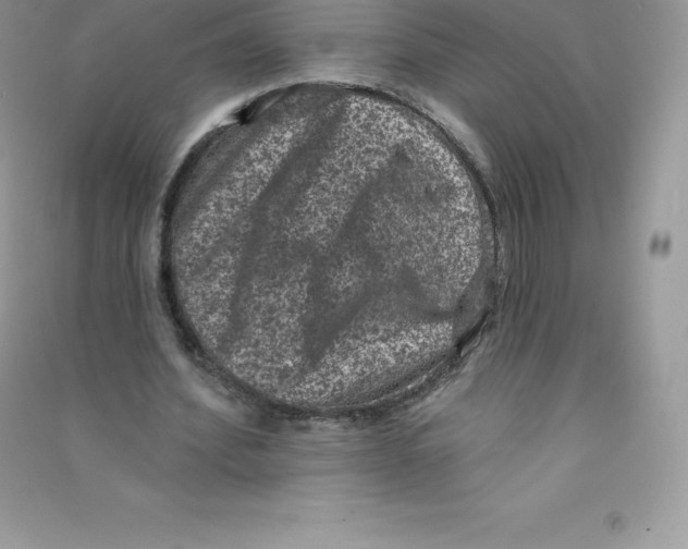 X0000090730580200708171949