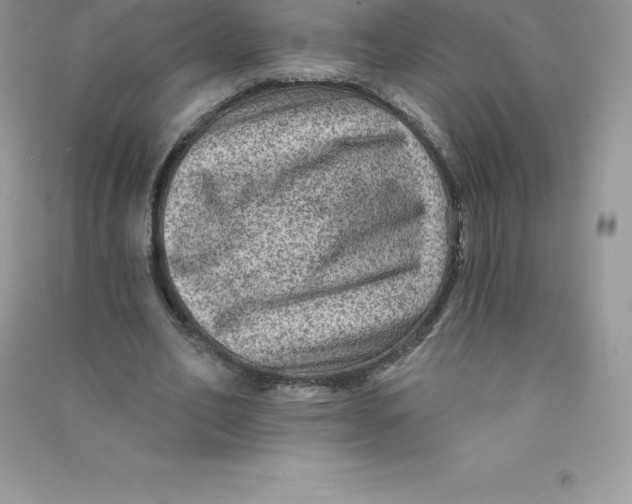 X0000090730582200708171949