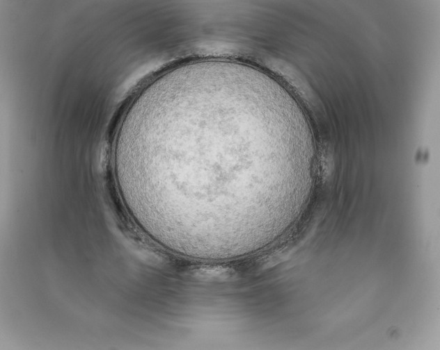 X0000090730583200708171949