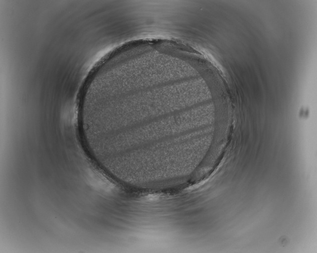 X0000090730584200708171949