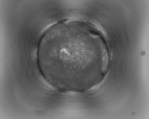 X0000090730585200708171949