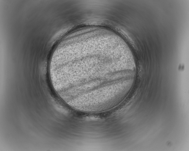 X0000090730586200708171949