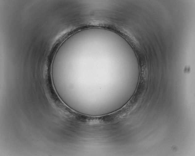 X0000090730587200708171949