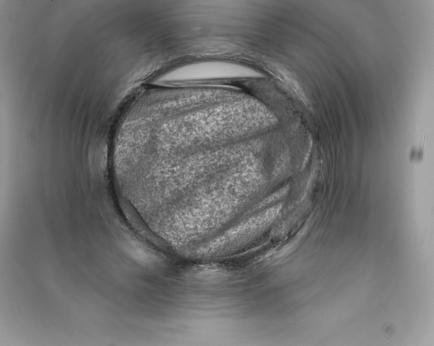 X0000090730589200708171949