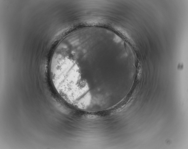 X0000090730590200708171949