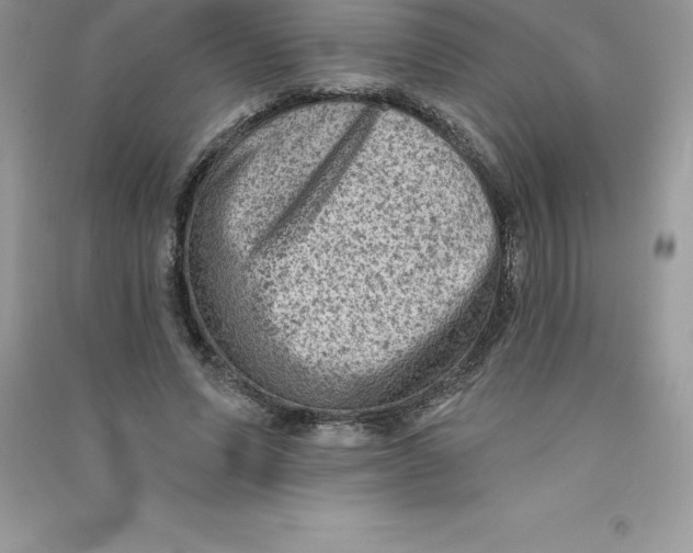 X0000090730591200708171949