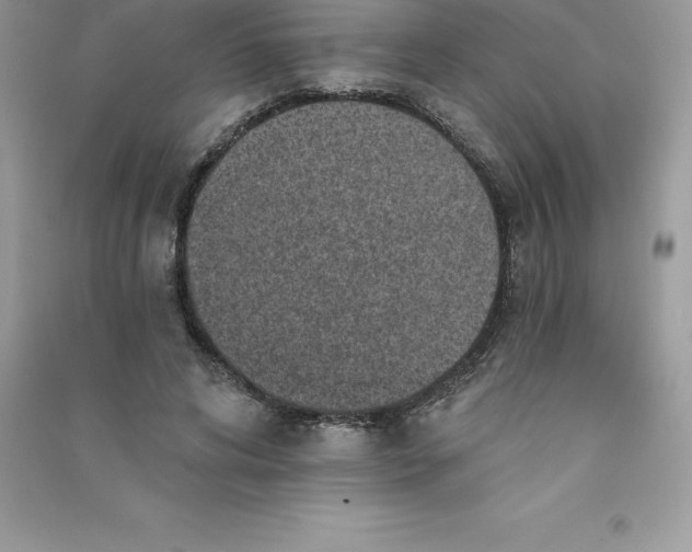 X0000090730592200708171949