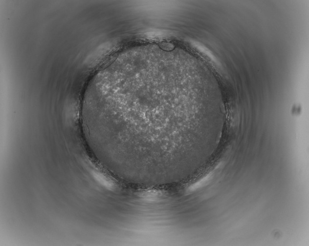 X0000090730593200708171949