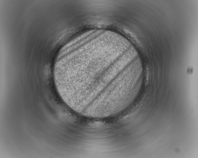 X0000090730594200708171949