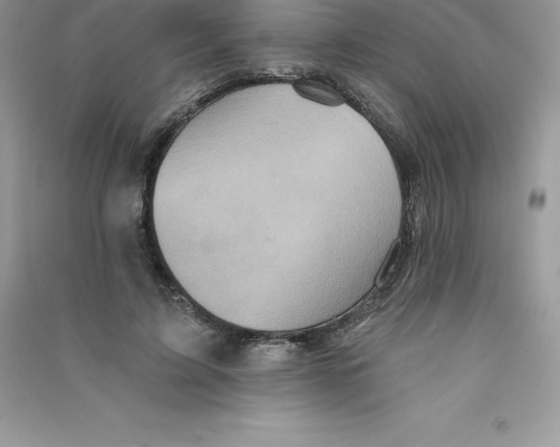 X0000090730595200708171949