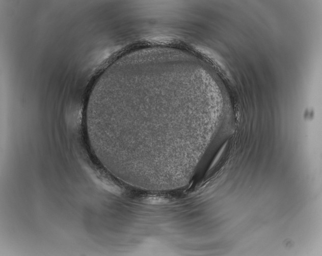 X0000090730596200708171949