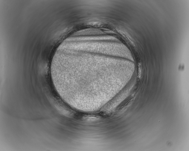 X0000090730597200708171949