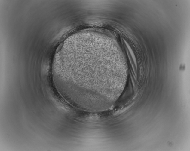 X0000090730600200708171949