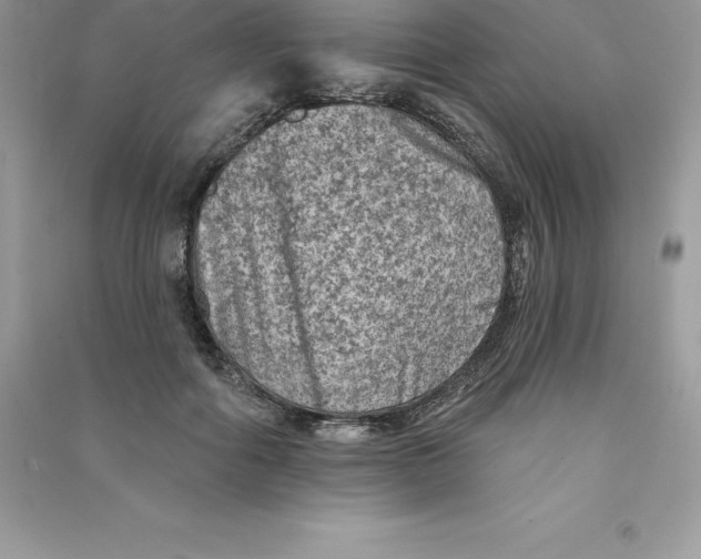 X0000090730602200708171949