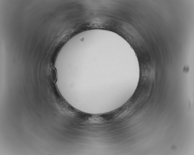 X0000090730603200708171949