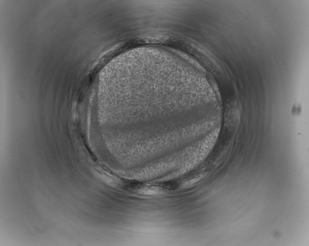 X0000090730604200708171949