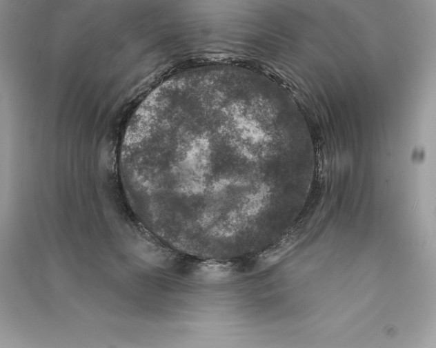 X0000090730606200708171949