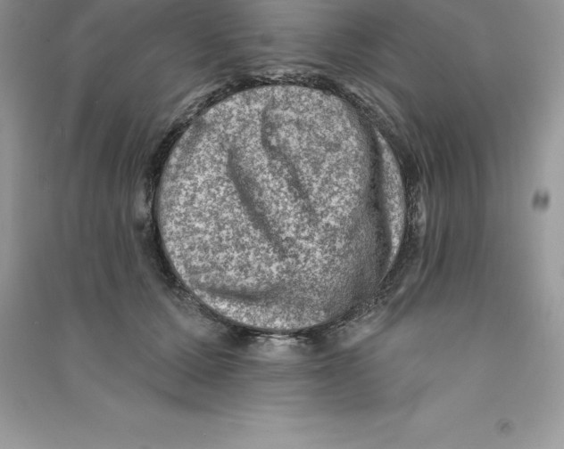 X0000090730607200708171949