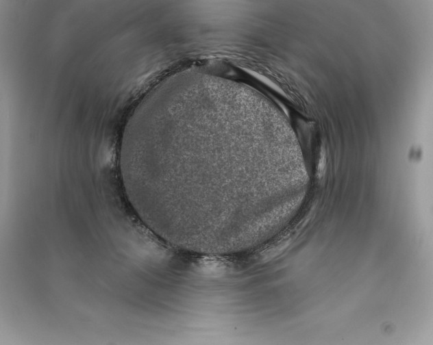 X0000090730608200708171949