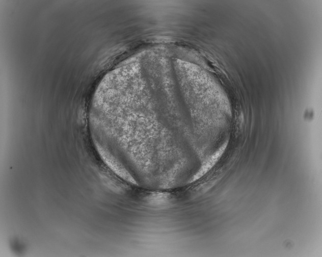 X0000090730609200708171949