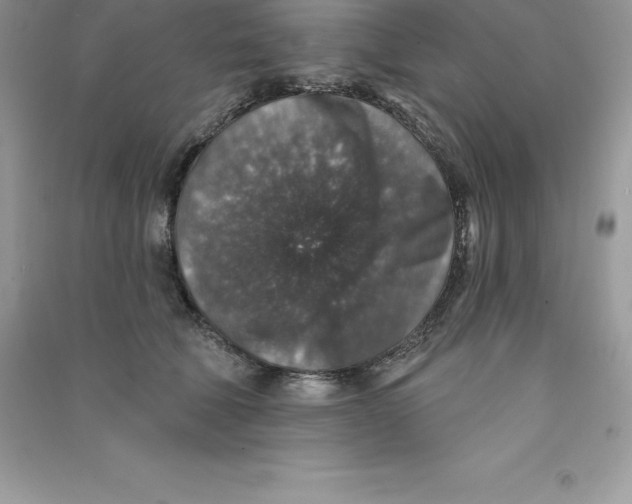 X0000090730610200708171949