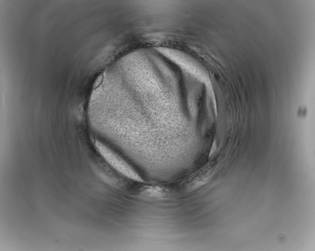 X0000090730611200708171949