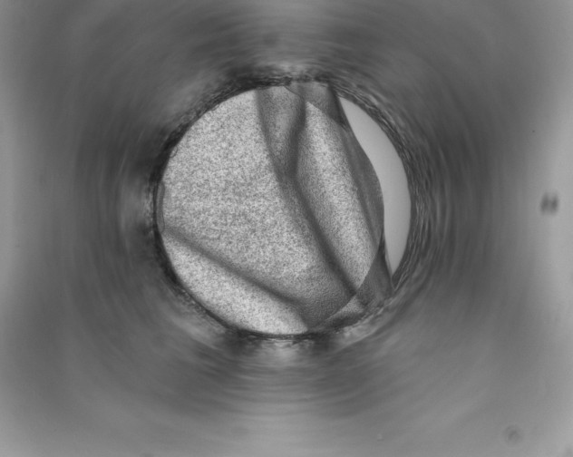 X0000090730613200708171949