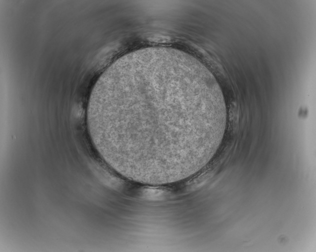 X0000090730614200708171949