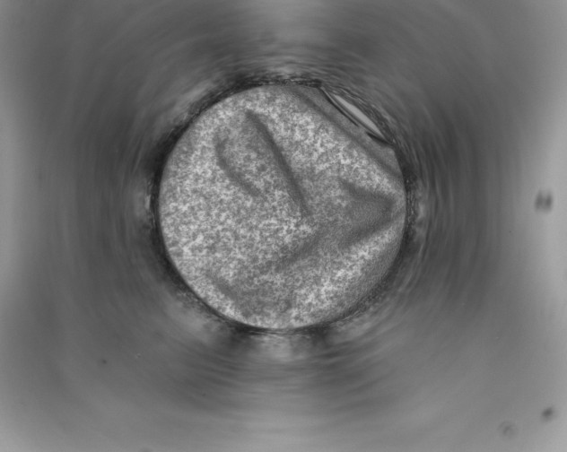 X0000090730615200708171949