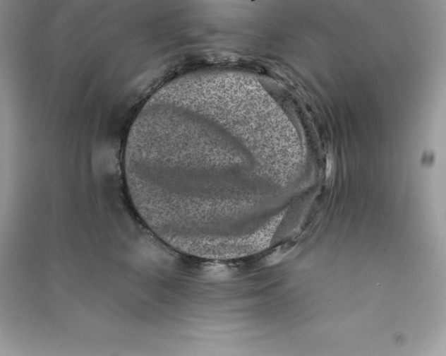 X0000090730616200708171949