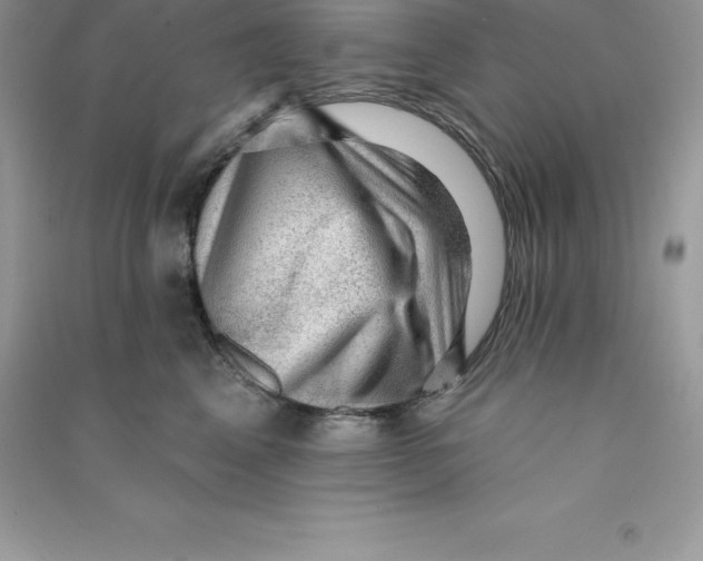 X0000090730617200708171949