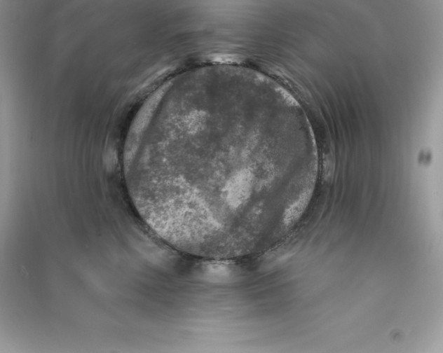 X0000090730618200708171949