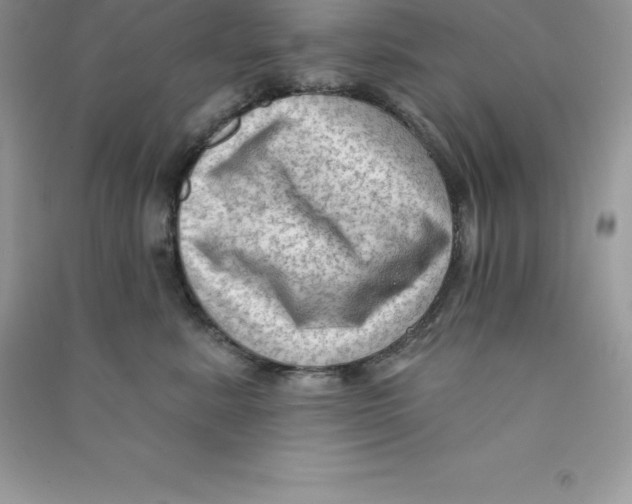 X0000090730619200708171949