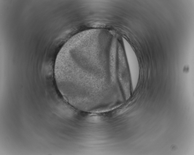 X0000090730620200708171949