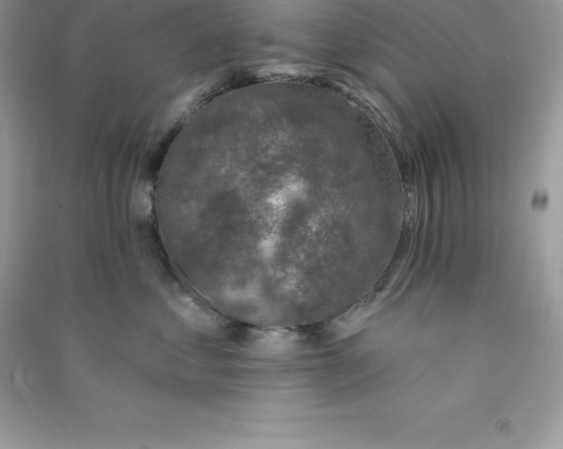 X0000090730621200708171949