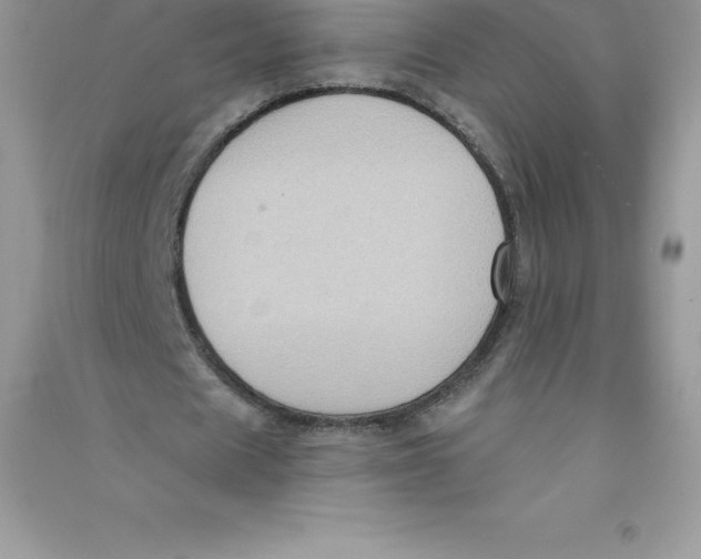 X0000090730625200708171948