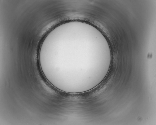 X0000090730629200708171948