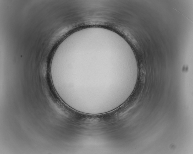 X0000090730631200708171948