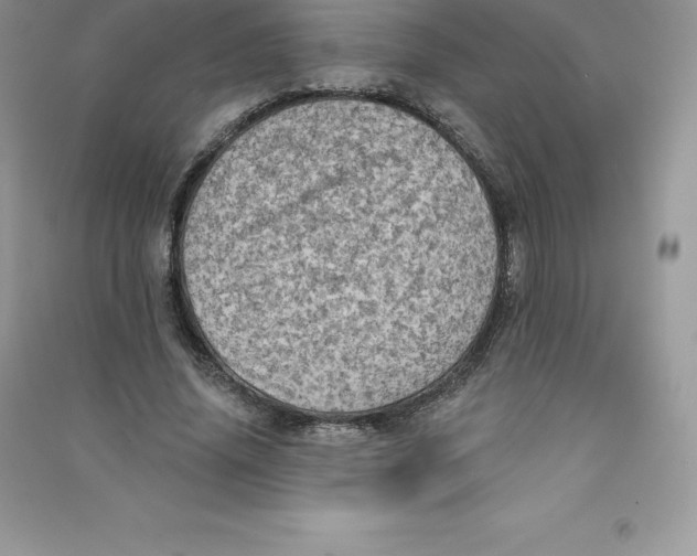 X0000090730636200708171948