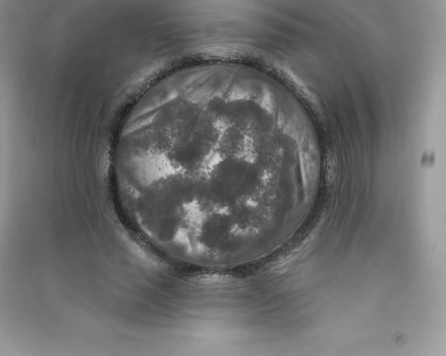 X0000090730637200708171948