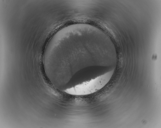 X0000090730641200708171948