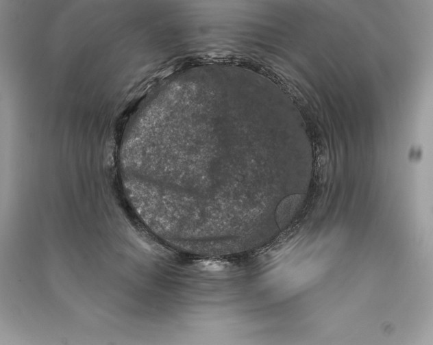 X0000090730654200708171948