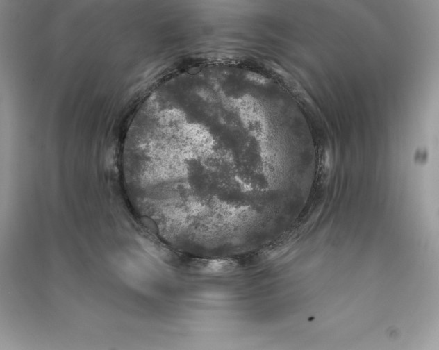 X0000090730663200708171948