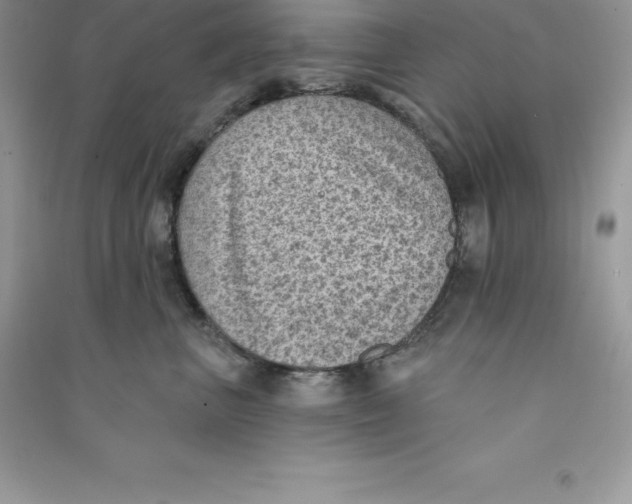 X0000090730667200708171948