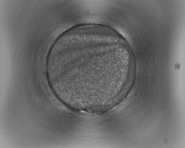 X0000090730673200708171948